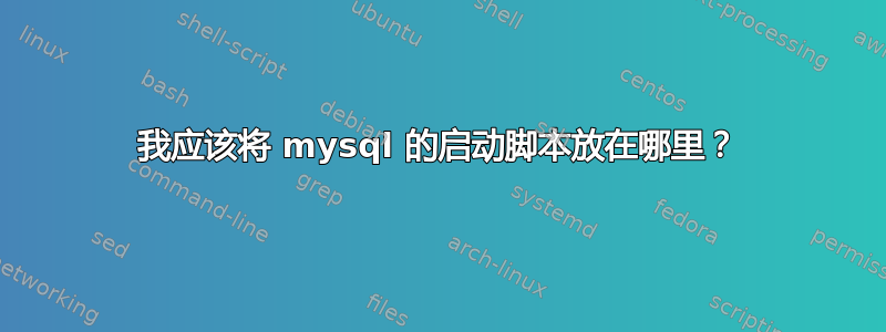 我应该将 mysql 的启动脚本放在哪里？