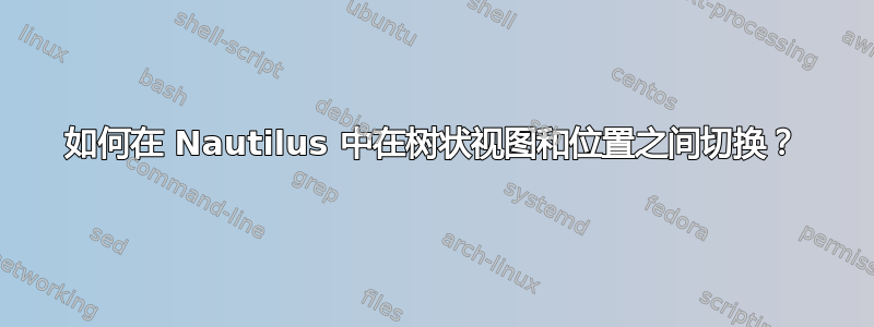 如何在 Nautilus 中在树状视图和位置之间切换？