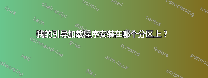 我的引导加载程序安装在哪个分区上？