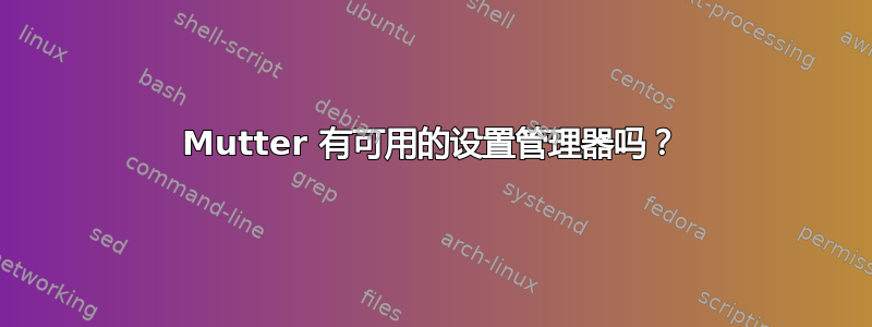 Mutter 有可用的设置管理器吗？