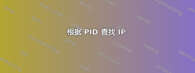 根据 PID 查找 IP