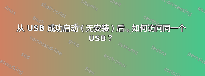 从 USB 成功启动（无安装）后，如何访问同一个 USB？