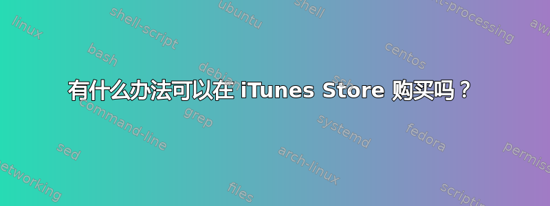 有什么办法可以在 iTunes Store 购买吗？