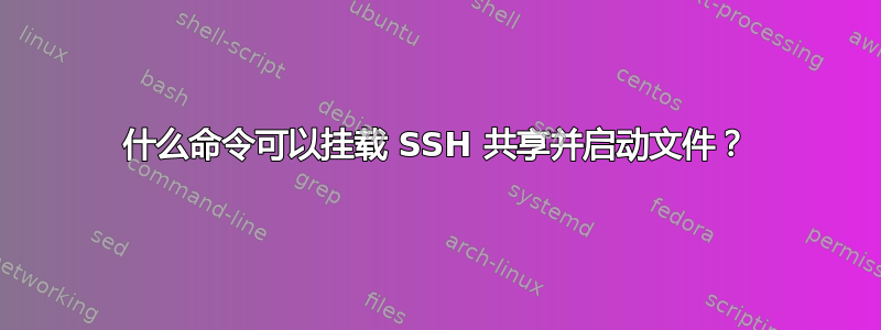 什么命令可以挂载 SSH 共享并启动文件？