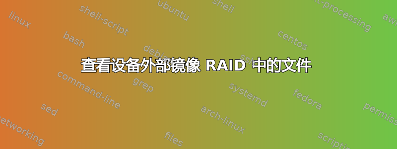 查看设备外部镜像 RAID 中的文件