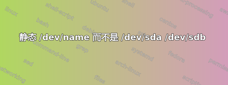 静态 /dev/name 而不是 /dev/sda /dev/sdb