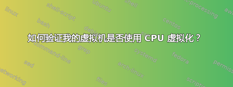 如何验证我的虚拟机是否使用 CPU 虚拟化？