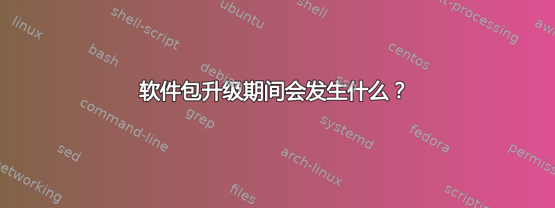 软件包升级期间会发生什么？