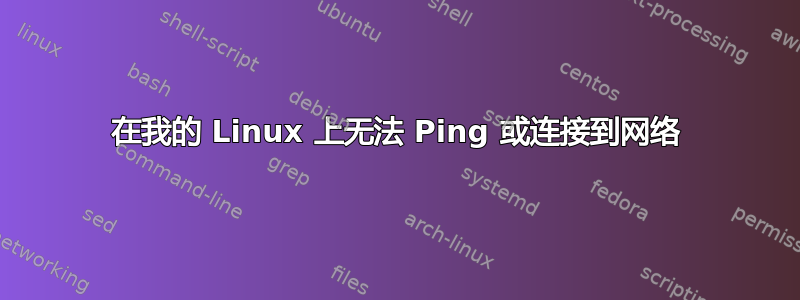 在我的 Linux 上无法 Ping 或连接到网络