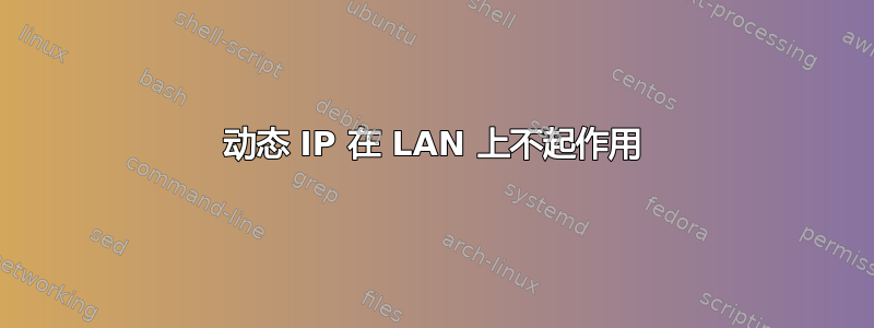 动态 IP 在 LAN 上不起作用