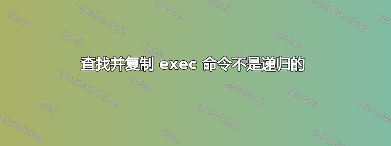 查找并复制 exec 命令不是递归的