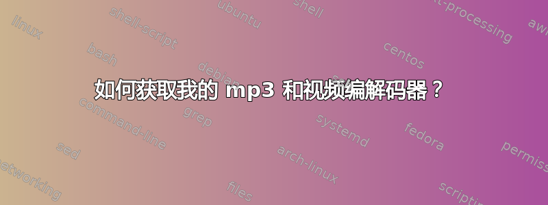 如何获取我的 mp3 和视频编解码器？