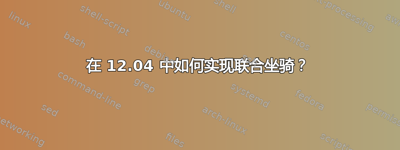 在 12.04 中如何实现联合坐骑？