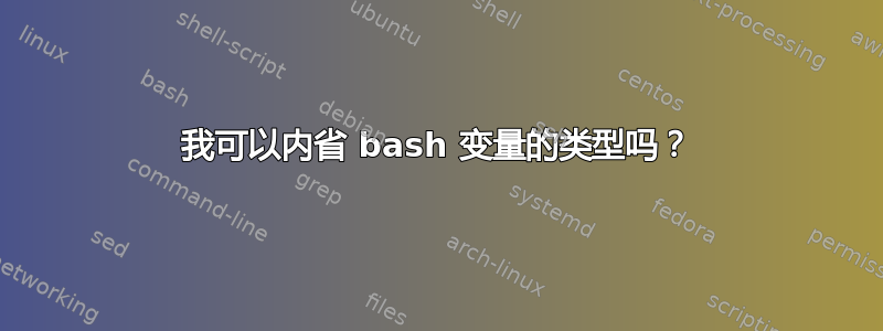 我可以内省 bash 变量的类型吗？