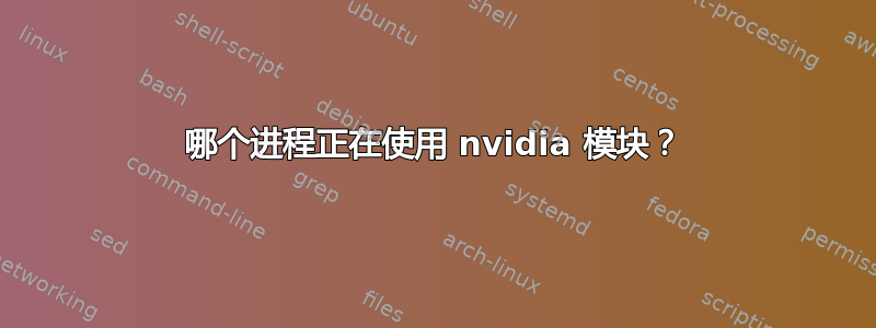 哪个进程正在使用 nvidia 模块？