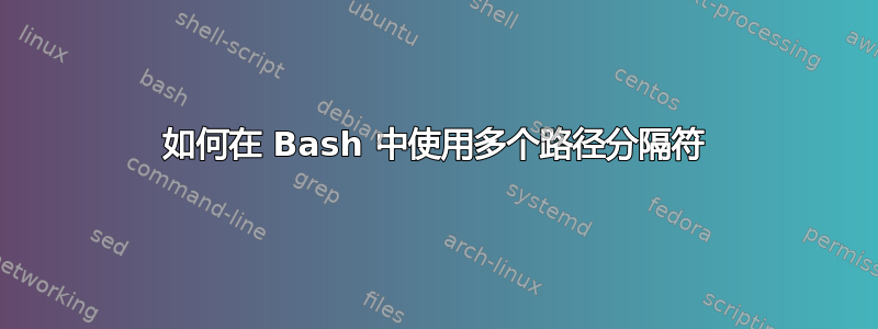 如何在 Bash 中使用多个路径分隔符