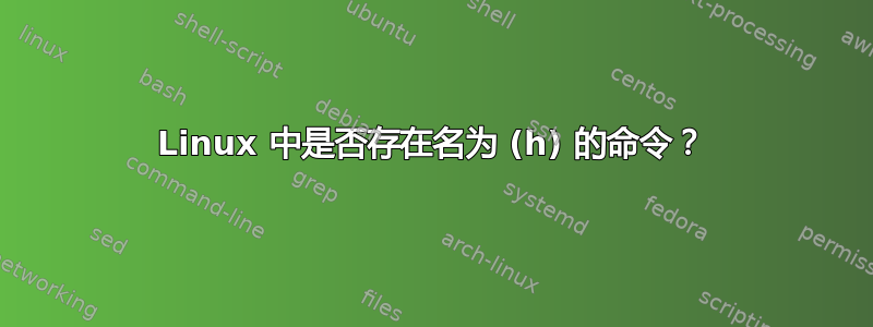 Linux 中是否存在名为 (h) 的命令？