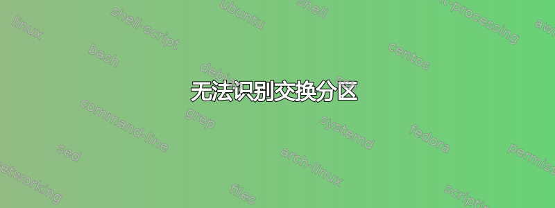 无法识别交换分区