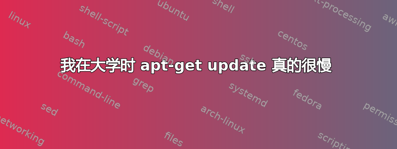 我在大学时 apt-get update 真的很慢