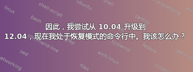 因此，我尝试从 10.04 升级到 12.04，现在我处于恢复模式的命令行中。我该怎么办？