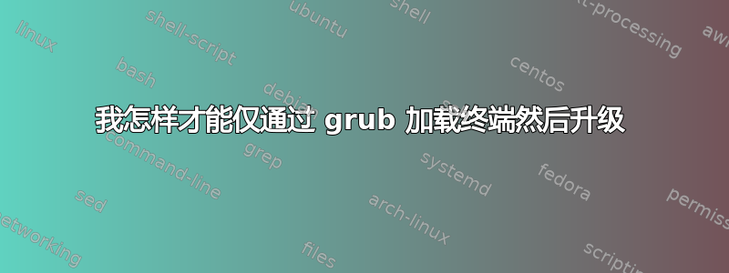 我怎样才能仅通过 grub 加载终端然后升级