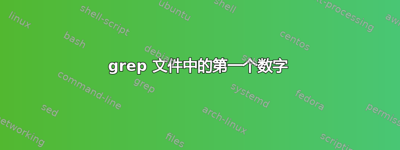 grep 文件中的第一个数字