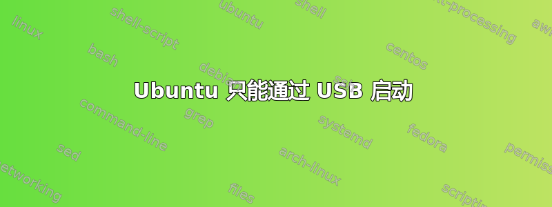 Ubuntu 只能通过 USB 启动