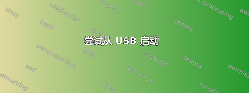 尝试从 USB 启动 