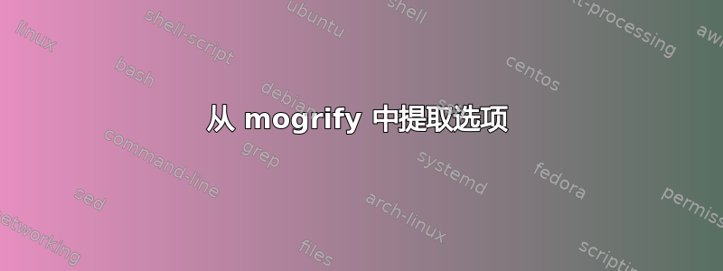 从 mogrify 中提取选项