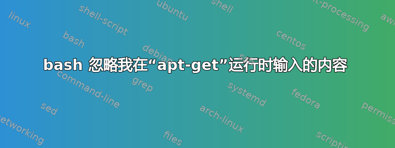 bash 忽略我在“apt-get”运行时输入的内容