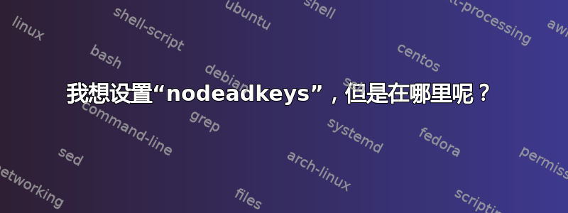 我想设置“nodeadkeys”，但是在哪里呢？