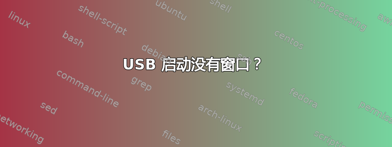 USB 启动没有窗口？