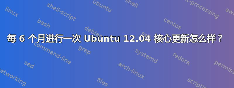 每 6 个月进行一次 Ubuntu 12.04 核心更新怎么样？