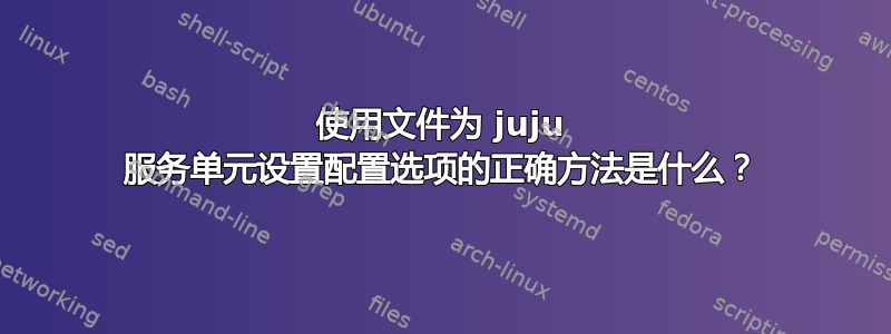 使用文件为 juju 服务单元设置配置选项的正确方法是什么？