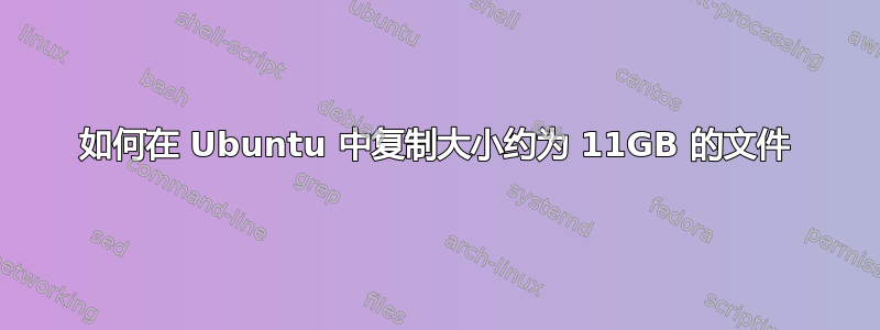 如何在 Ubuntu 中复制大小约为 11GB 的文件