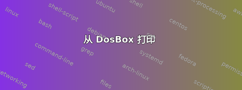 从 DosBox 打印