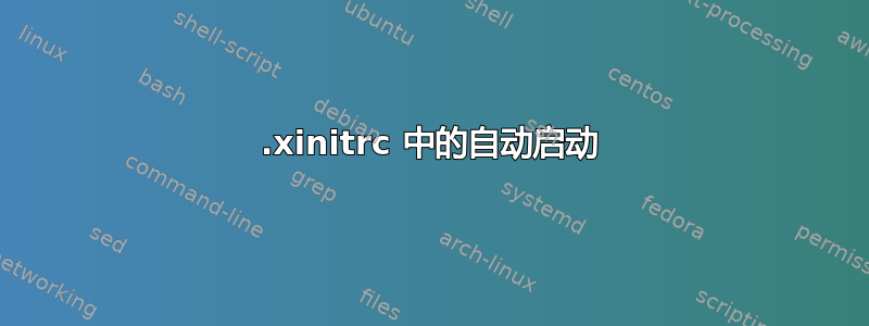 .xinitrc 中的自动启动