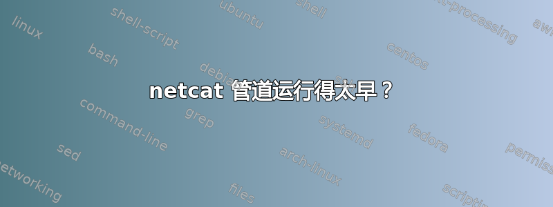 netcat 管道运行得太早？