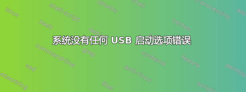 系统没有任何 USB 启动选项错误