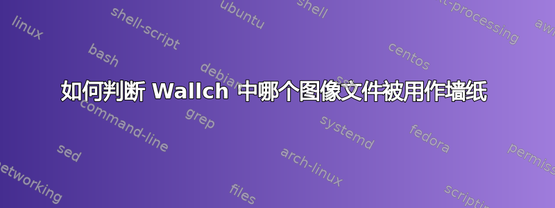 如何判断 Wallch 中哪个图像文件被用作墙纸