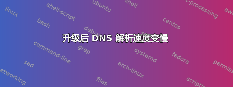 升级后 DNS 解析速度变慢