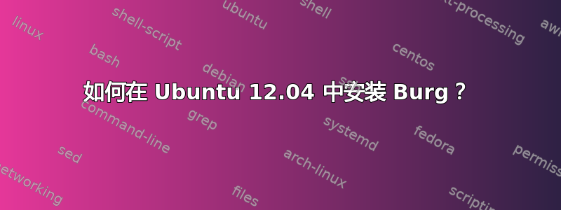 如何在 Ubuntu 12.04 中安装 Burg？