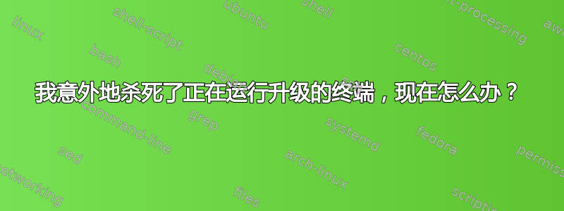 我意外地杀死了正在运行升级的终端，现在怎么办？