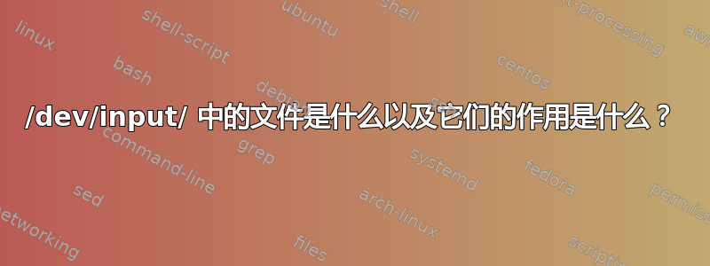 /dev/input/ 中的文件是什么以及它们的作用是什么？