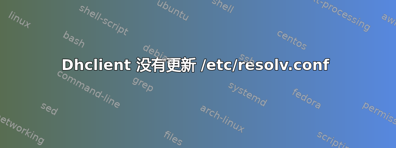 Dhclient 没有更新 /etc/resolv.conf