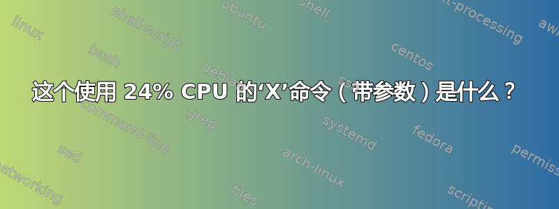 这个使用 24% CPU 的‘X’命令（带参数）是什么？