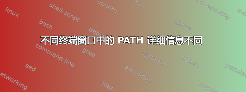 不同终端窗口中的 PATH 详细信息不同