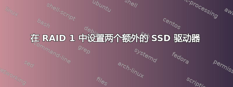 在 RAID 1 中设置两个额外的 SSD 驱动器