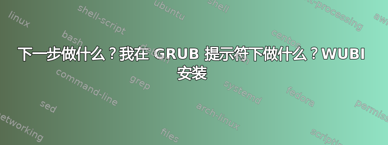 下一步做什么？我在 GRUB 提示符下做什么？WUBI 安装