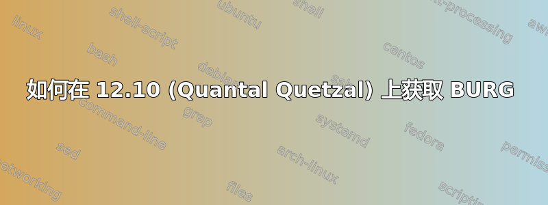 如何在 12.10 (Quantal Quetzal) 上获取 BURG